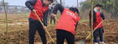 兰溪平安产险：植绿九畹兰花基地，共绘乡村振兴蓝图