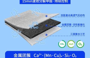 新房装修后，到底该怎么除甲醛？