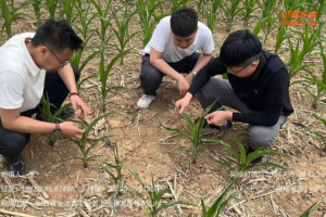 防汛抗旱系列之一|平安产险科技赋能防汛抗旱，筑牢灾害保障网