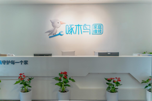 全国规模第一，重庆啄木鸟网络科技有限公司开启家庭维修行业新篇章